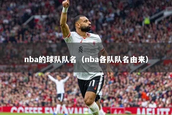 nba的球队队名（nba各队队名由来）
