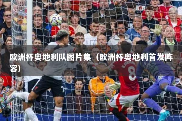 欧洲杯奥地利队图片集（欧洲杯奥地利首发阵容）