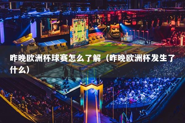 昨晚欧洲杯球赛怎么了解（昨晚欧洲杯发生了什么）
